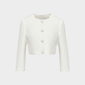 Babaton Acquire Jacket - Tweed